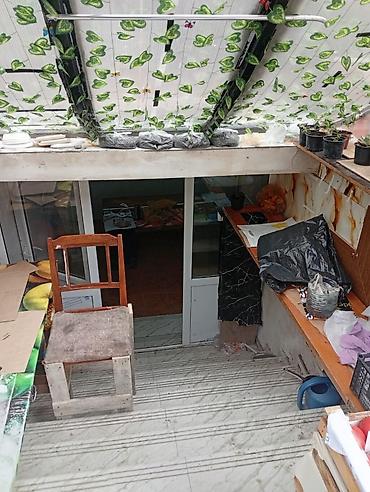 Çöl bitkiləri: Hazır biznes kimi satılır 500 manat aylıq icare haqqı 400 manat ünvan — 7