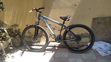 velosiped motor: İşlənmiş Şəhər velosipedi Saft, 29", sürətlərin sayı: 7, Ünvandan götürmə — 1