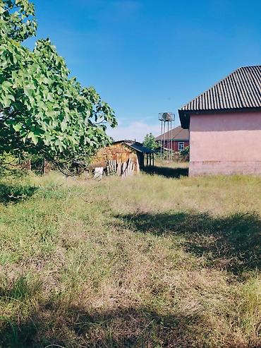 Torpaq sahələrinin satışı: 40 sot, Tikinti, Kupça (Çıxarış) -da lalafo.az — 5 Torpaq sahələrinin satışı: 40 sot, Tikinti, Kupça (Çıxarış) — 5