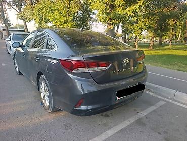 skoda rapid 2012: Hyundai Sonata: 2019 г., 2 л, Автомат, Газ, Седан — 2