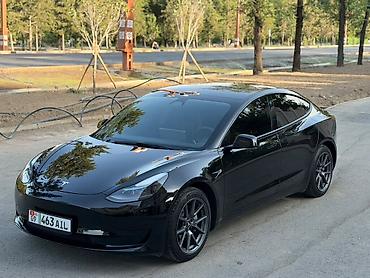 byd e6: Tesla Model 3: 2023 г., 0.1 л, Автомат, Электромобиль, Лифтбек — 5