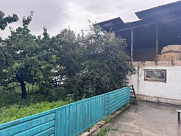 ферма купить: Небольшой жилой дом с участком и садом. - Планировка: светлая комната — 3