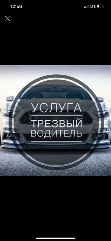 передний бампер опель вектра б: Трезвый водитель по городу акуратный пунктуальный водитель