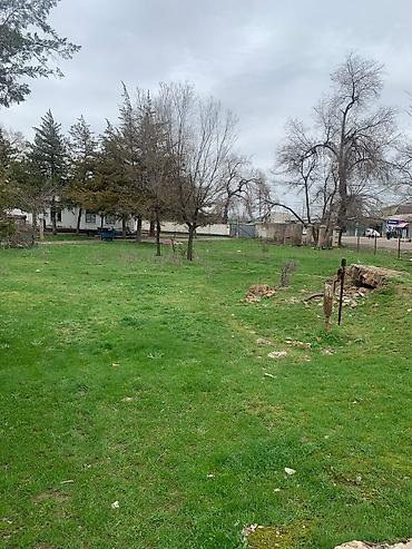 Продажа участков: 90 соток, Для бизнеса, Красная книга — 13