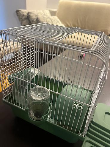 qefes satisi: Hamster ucun qefes satilir, elave oyuncaqlar da var. Icini deyismek — 1