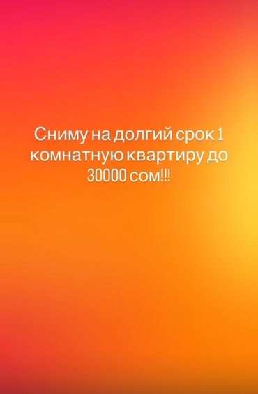 квартира однокомнатная на долгий срок: 1 комната, Без подселения