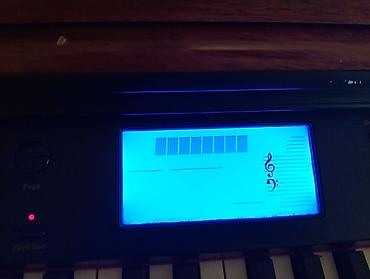 Клавишные инструменты: Steinbach rəqəmsal piano – klassik mebel korpusu ilə - Marka/model — 9