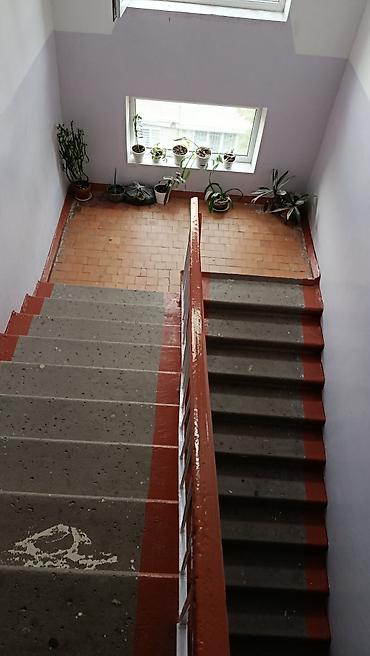 Продажа квартир: 2 комнаты, 43 м², 104 серия, 5 этаж, Косметический ремонт — 12