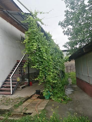 Продажа коттеджей и домов: Продаётся дом с двором и садом в Ошском районе, ул. Джим, 49. - — 17