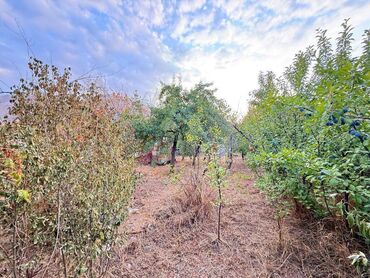 Продажа домов: Дача, 25 м², 2 комнаты — 15