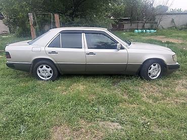 авто полироль: Mercedes-Benz W124: 1990 г., 2.3 л, Механика, Бензин, Седан — 3