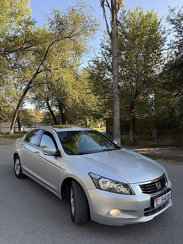 амортизатор акорт: Honda Accord: 2008 г., 2.4 л, Автомат, Бензин, Седан — 4