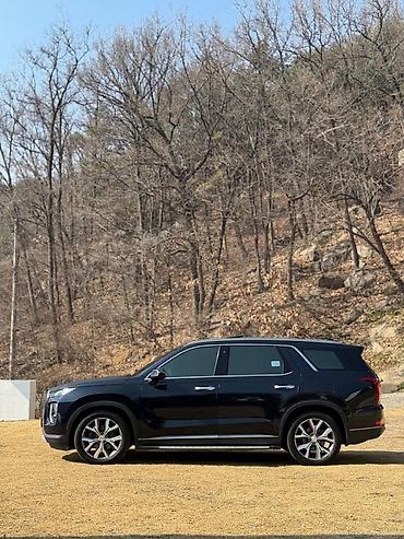 Hyundai: Hyundai Palisade: 2019 г., 2.2 л, Дизель — 5