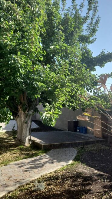 Uzunmüddətli kirayə evlər: 120 kv. m, 4 otaqlı — 16