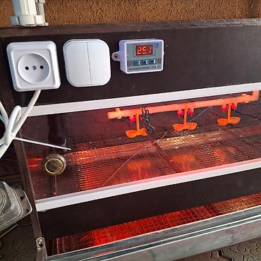 Товары и оборудование для с/х животных: Изготавливаю брудера для цыплят размер 1 го брудера 1.20длина 50см — 10