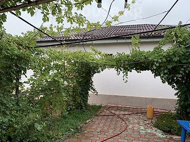 цум подвал: 4 комнаты, 147 м², 8 соток, Бишкек, Собственник — 6