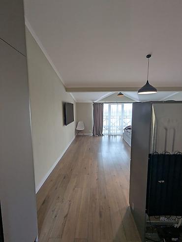 Долгосрочная аренда квартир: Студия, С мебелью полностью — 2