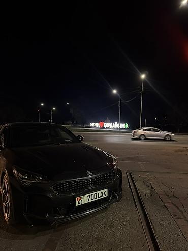 kia stiger: Kia Stinger: 2018 г., 2 л, Автомат, Бензин, Лифтбек — 2