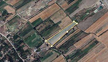 cilə dağı: 204 sot, Kənd təsərrüfatı, Mülkiyyətçi, Kupça (Çıxarış) — 2