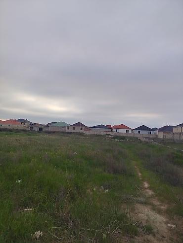 torpaq gence: 4 sot, Tikinti, Mülkiyyətçi, Bələdiyyə — 5