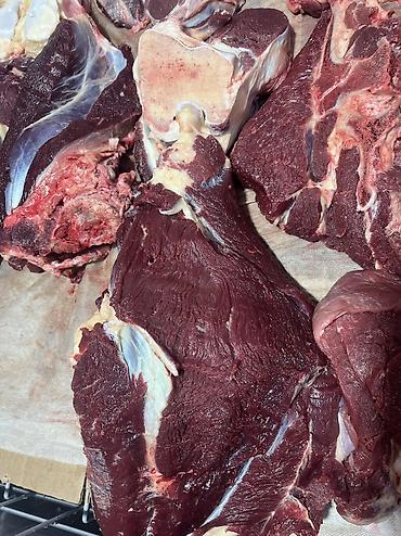 Конина: Тай эти дун жана чекене бардык турлору бар устукан тойлордуу тейлоо — 9