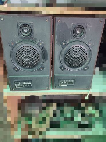 акустические системы spdif колонка череп: Две акустические колонки Radiotehnika S-30A. Колонки подходят для