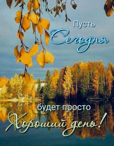 аляска женские: У кого есть сапоги Аляска или ботинки целые не нужные вам возьму даром