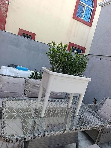 Digər daşınmaz kommersiya əmlakı icarəsi: Bag evlərinə villalara həyət evlərinə, bina evlərinə baglarina -da lalafo.az — 24 Digər daşınmaz kommersiya əmlakı icarəsi: Bag evlərinə villalara həyət evlərinə, bina evlərinə baglarina — 24