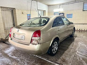 e klass: Nissan Primera: 2003 г., 1.8 л — 5