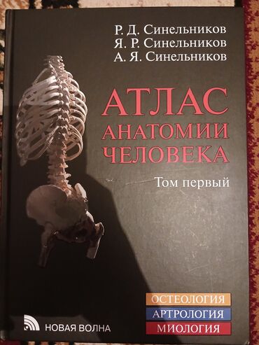 Медицина: Первый том «Атласа анатомии человека» под редакцией Р.Д., Я.Р. и А.Я