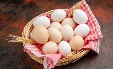 mayalı yumurta satışı: Toyuq, Damazlıq, Ödənişli çatdırılma, Rayonlara çatdırılma