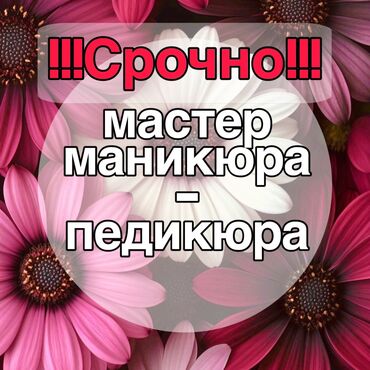 Мастера ногтевого сервиса: Мастер педикюра. Фиксированная оплата. Джал мкр (в т.ч. Верхний, Нижний, Средний)