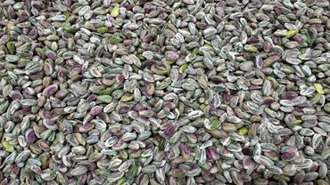 Сухофрукты, орехи, снеки: Очищенные фисташки, готовые к употреблению. Ядра имеют характерный — 5