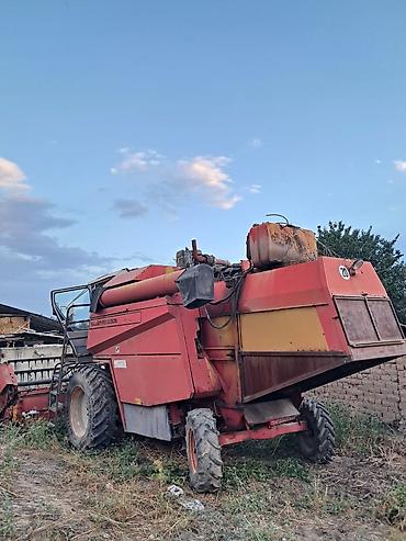 зерновой шнек: Комбайн зерноуборочный Massey Ferguson - Марка/линейка: Massey — 2