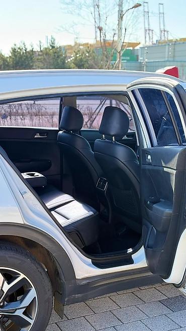 Kia: Kia Sportage: 2019 г., 2 л, Автомат, Дизель, Кроссовер — 14