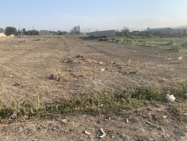 çıxarış nədir: 24 соток, Для строительства, Собственник, Купчая