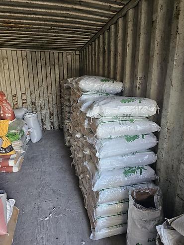 Семена льна: Семена люцерна,очищенный,магниченый,8летка Оптом и в розницу at lalafo.kg — 3 Семена льна: Семена люцерна,очищенный,магниченый,8летка Оптом и в розницу — 3