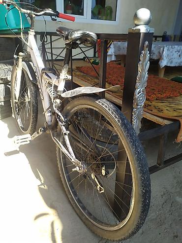 Горные велосипеды: Горный велосипед Stels Stinger 26" Основные характеристики: - Диаметр — 3