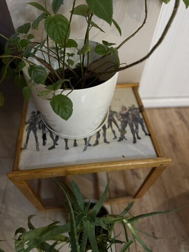 домики из контейнера: Этажерка для цветов, Дерево