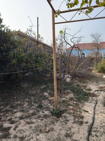 Həyət evi alıram: 9 kv. m, 6 otaqlı, Qaz, İşıq, Su — 8