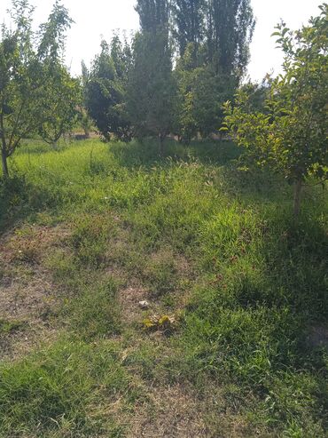 Продажа участков: 20 соток, Для сельского хозяйства — 3