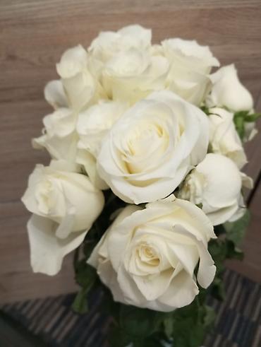 букет цветов и шоколад: Подарок для любимых, Шикарные, свежие -Букеты из свежих роз - 1букет — 1
