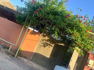 qaradağ: Qobustan qəs. 3 otaqlı, 600 kv. m, Orta təmir — 1
