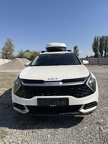 корейский опалобки: Kia Sportage: 2022 г., Автомат, Дизель — 1