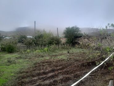 Torpaq sahələrinin satışı: 11 sot, Kənd təsərrüfatı, Kupça (Çıxarış) -da lalafo.az — 7 Torpaq sahələrinin satışı: 11 sot, Kənd təsərrüfatı, Kupça (Çıxarış) — 7