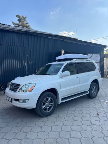 крепления для лыж на авто: Унаа чатырына бокс 206 см, 750 л, Жаңы, Өзү алып кетүү