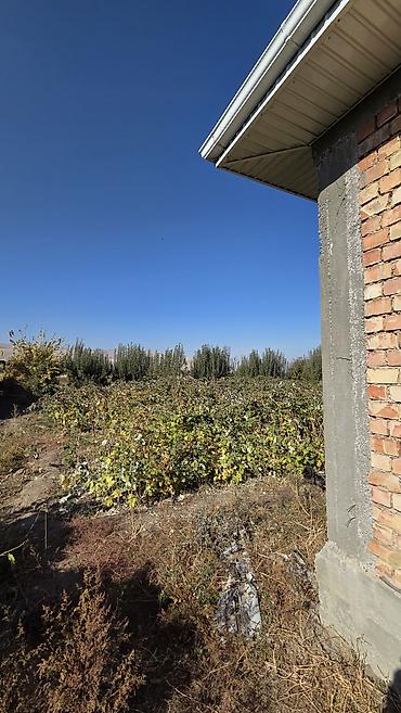 пол офиса: 4 комнаты, 145 м², 10 соток, Арчалы, Собственник — 4