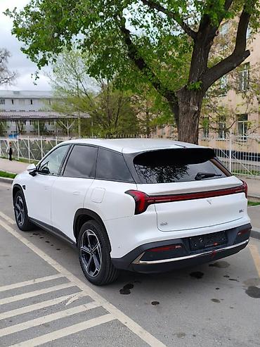 Другие детали салона: Нета л полный комплектация . пробек 36000 оргинал .родной окрас100% — 2