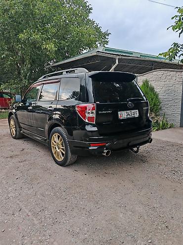 daf 2013: Subaru Forester: 2009 г., 2.5 л, Автомат, Бензин, Кроссовер — 2