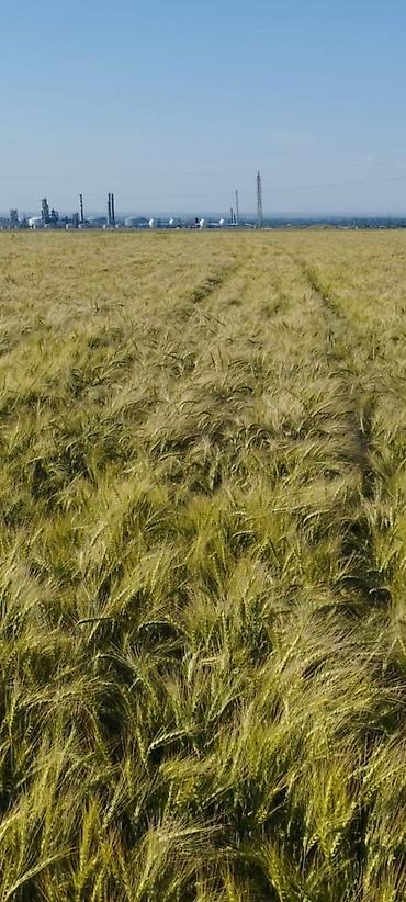 Продажа участков: 400 соток — 1